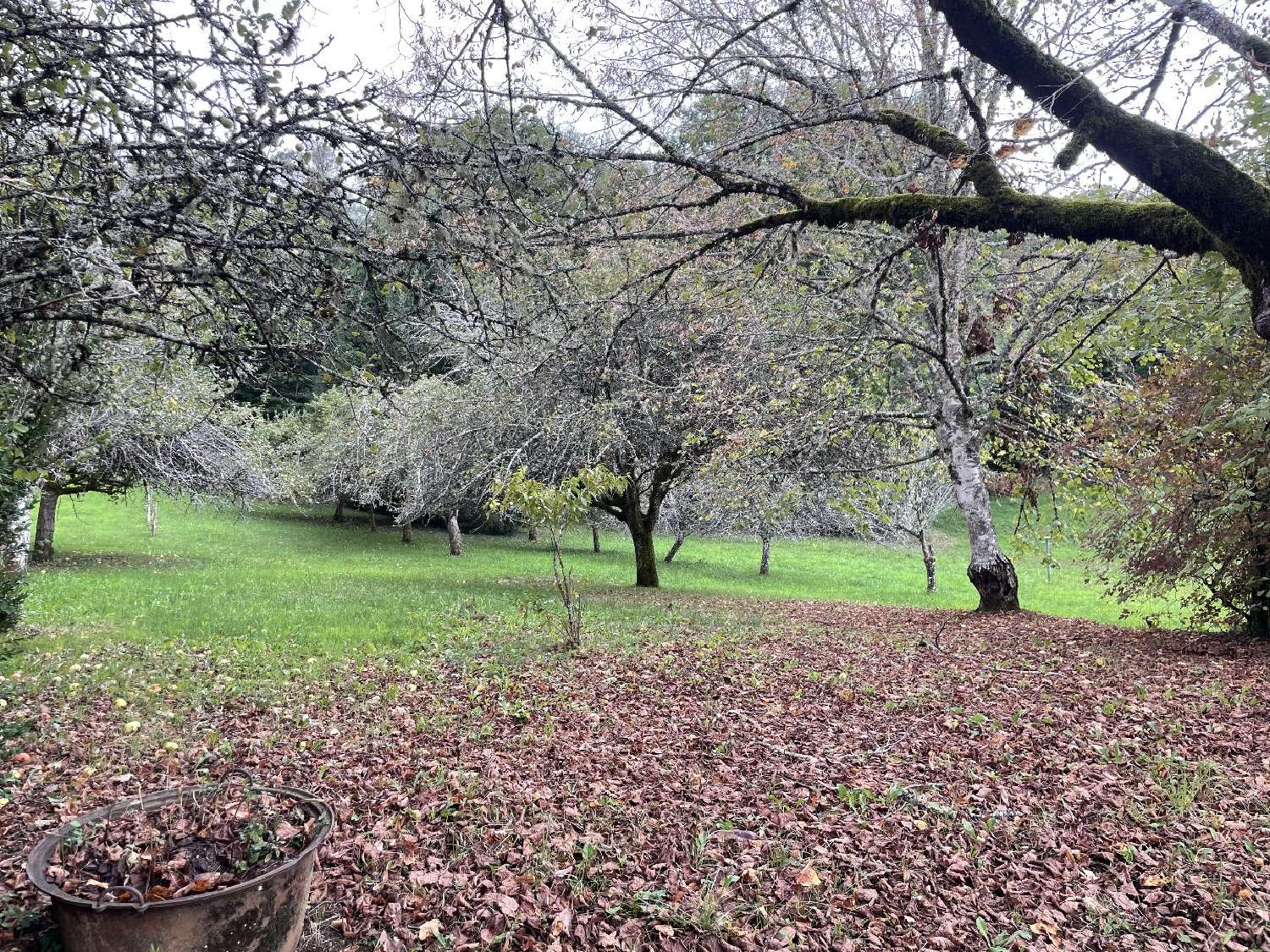  en venta casa Sarlat-la-Canéda Dordoña 8