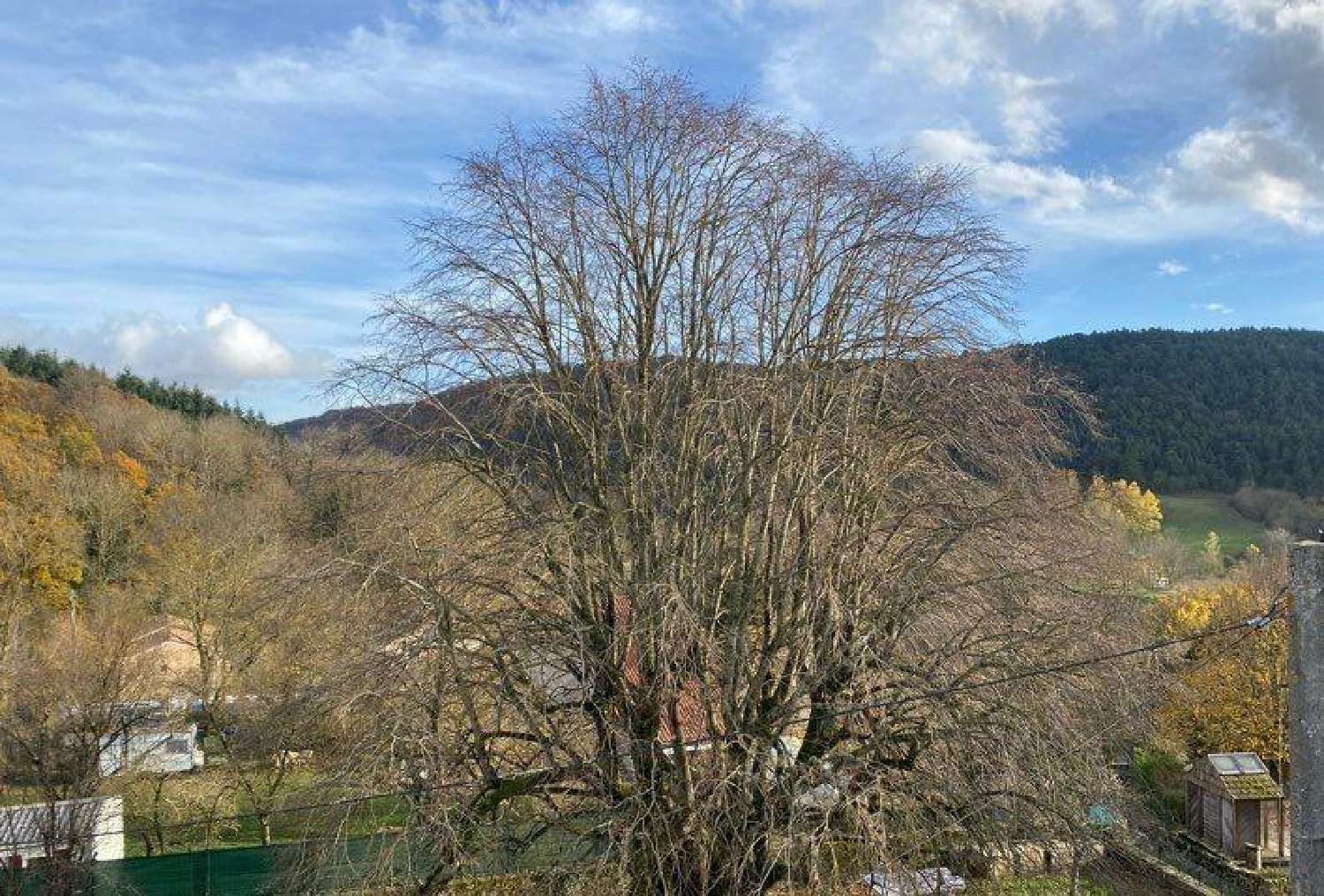 kaufen Haus Sauclières Aveyron 3