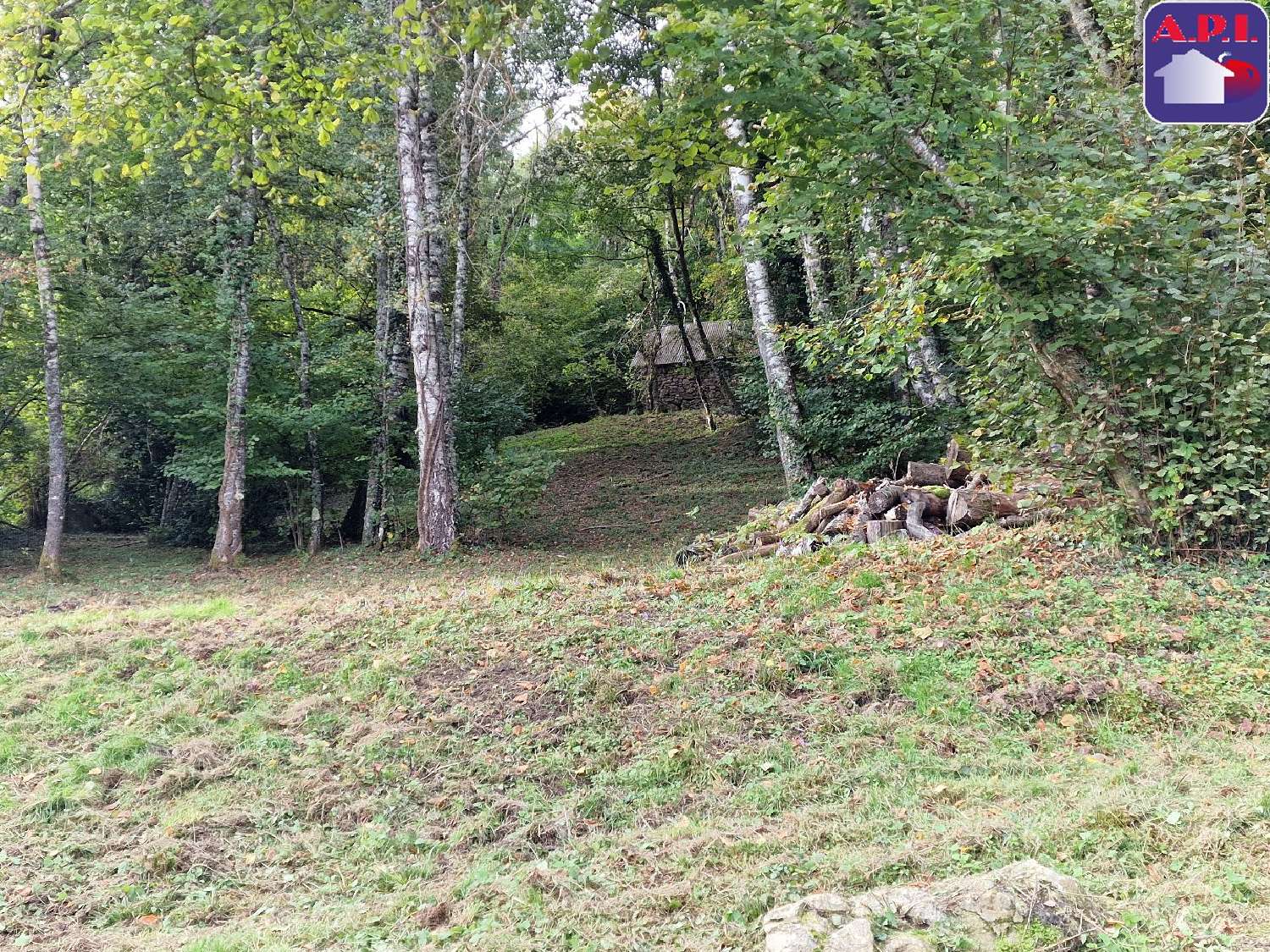 for sale house Saurat Ariège 8