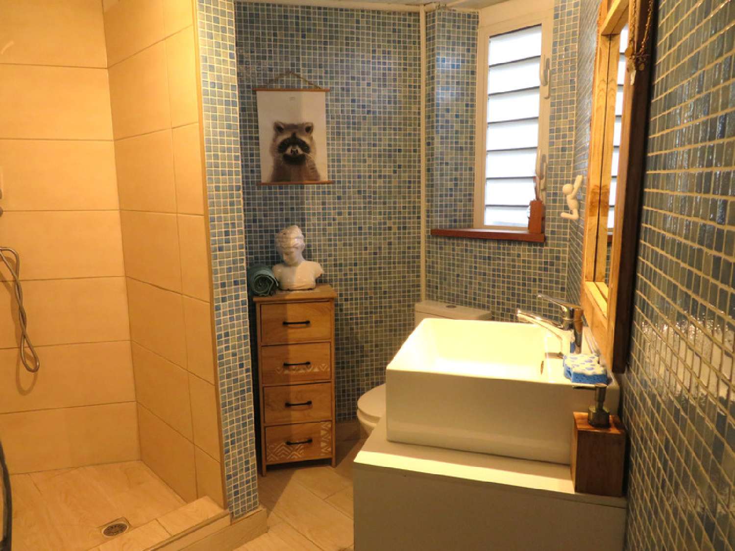 à vendre maison Schœlcher Martinique 5