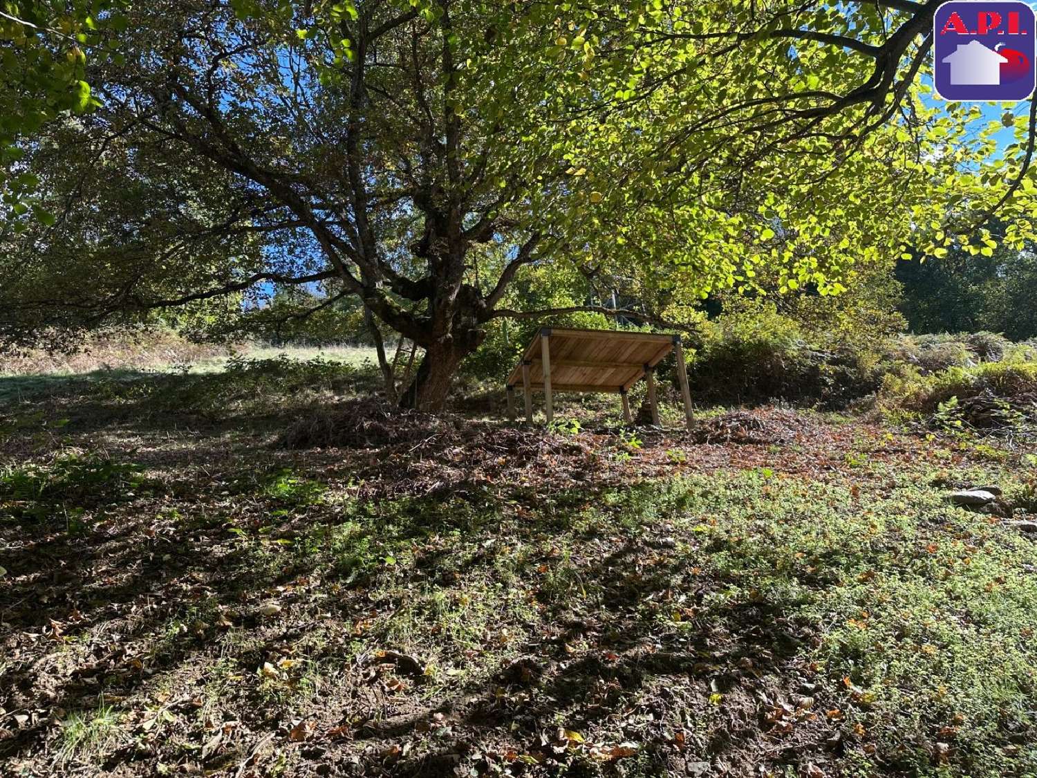  for sale house Sentein Ariège 3