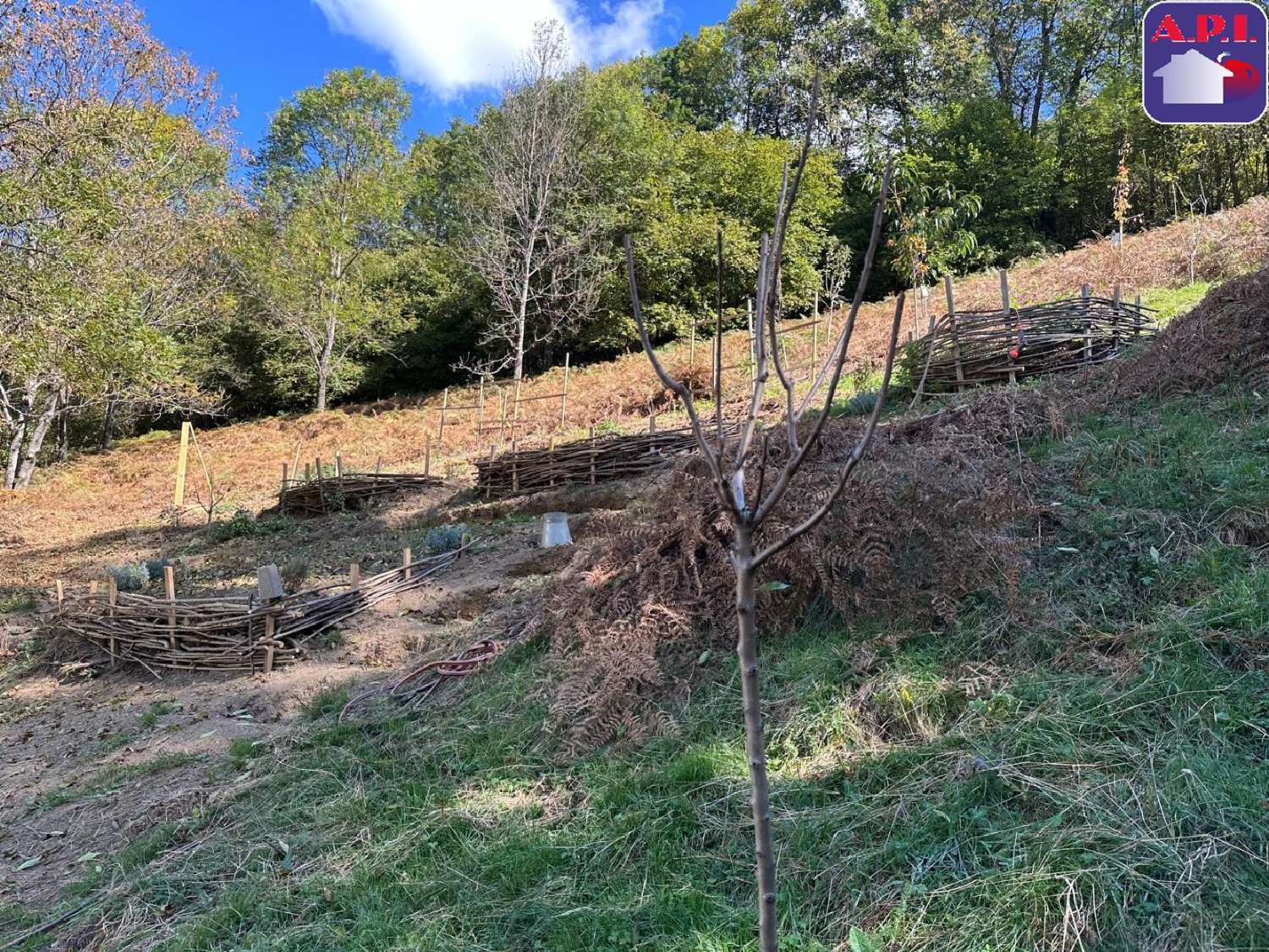  for sale house Sentein Ariège 7