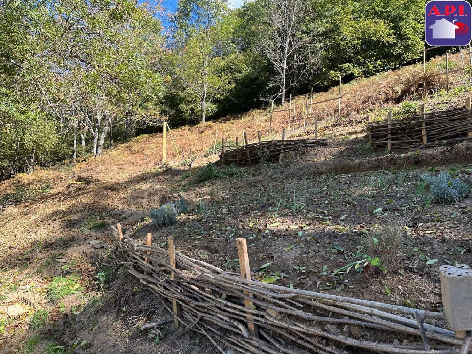  for sale house Sentein Ariège 8