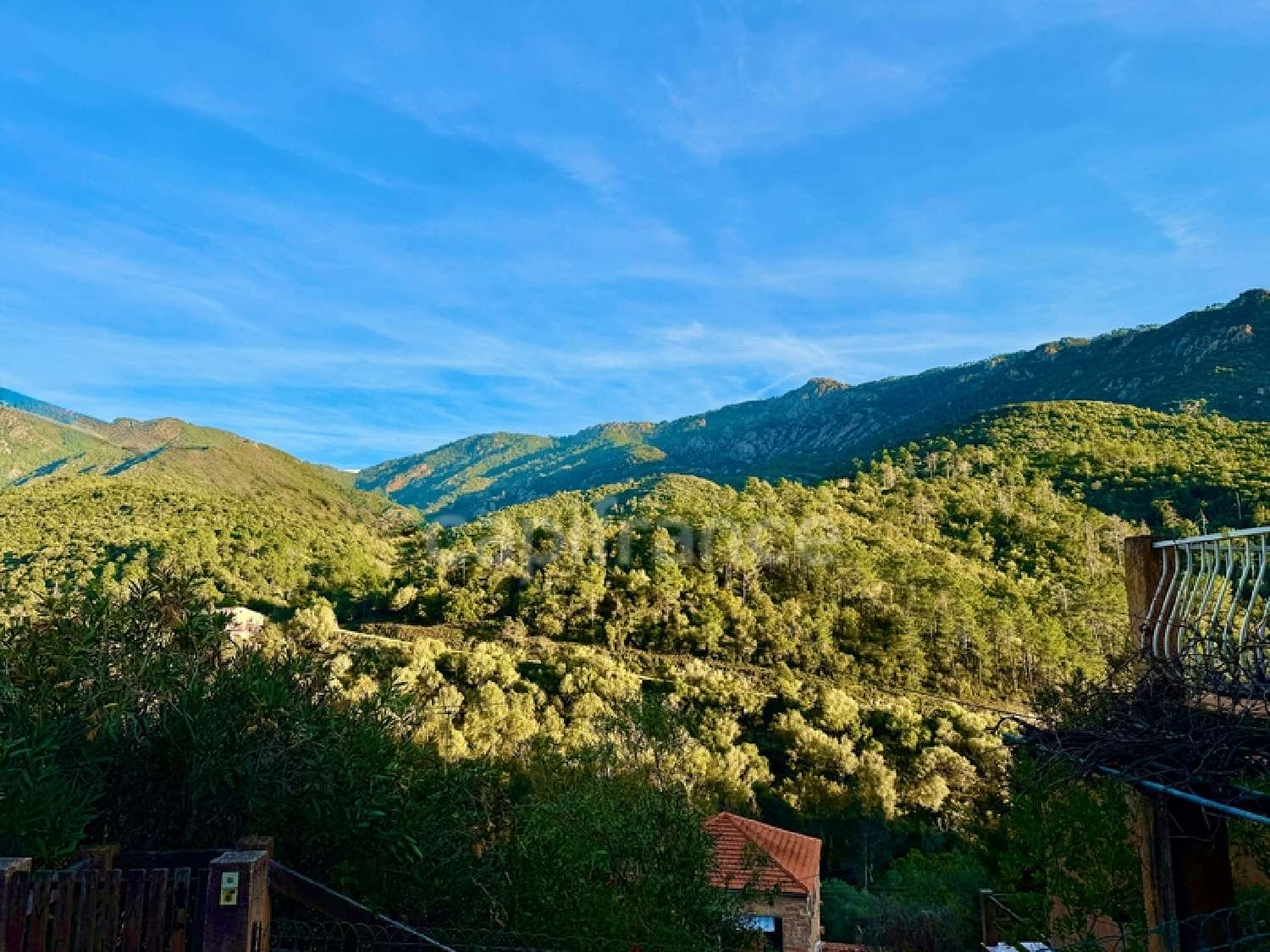 à vendre maison Serriera Corse-du-Sud 2