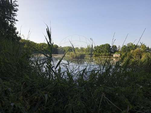 Servon-Melzicourt Marne huis foto 7239394