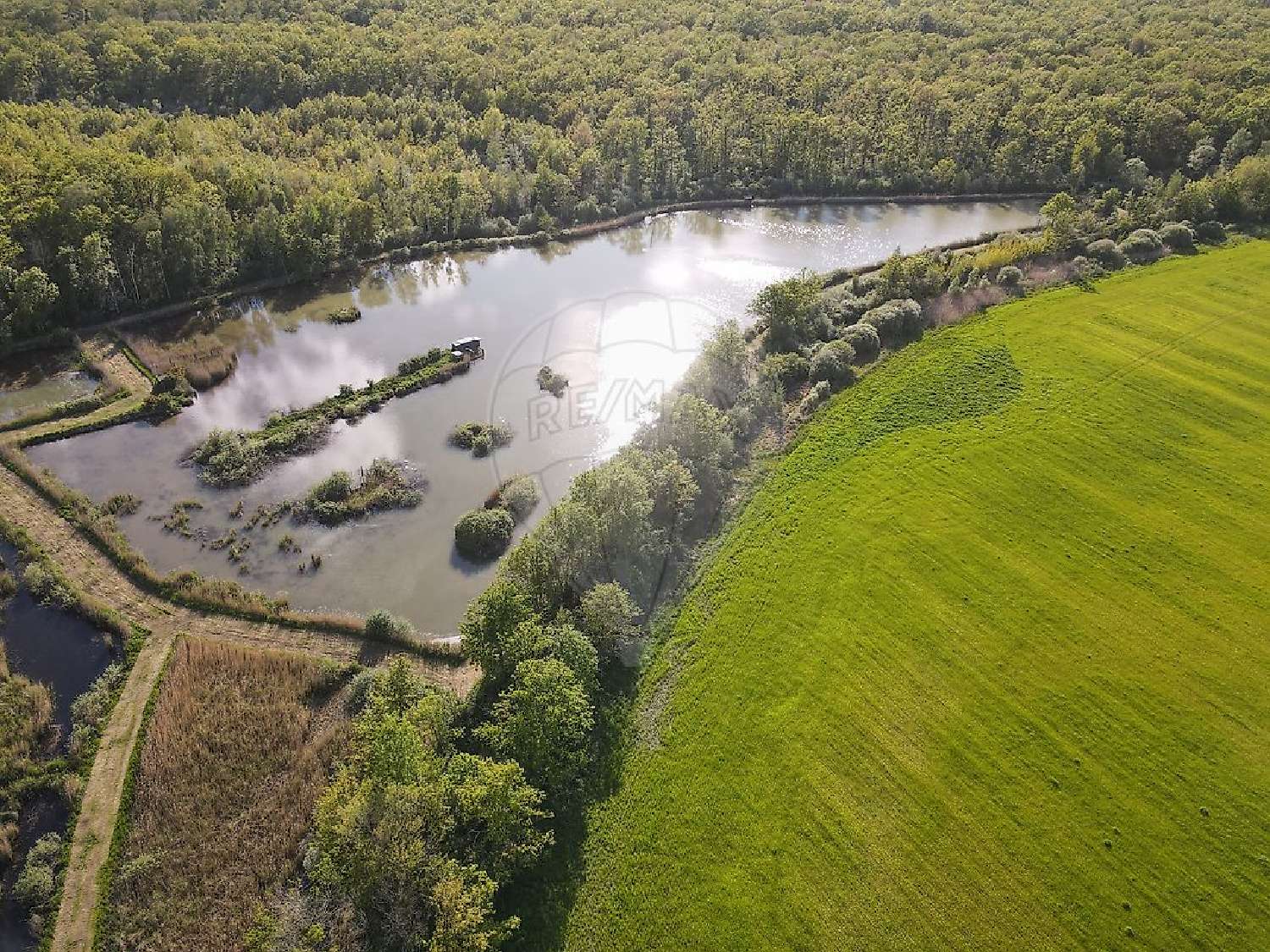  te koop huis Servon-Melzicourt Marne 2