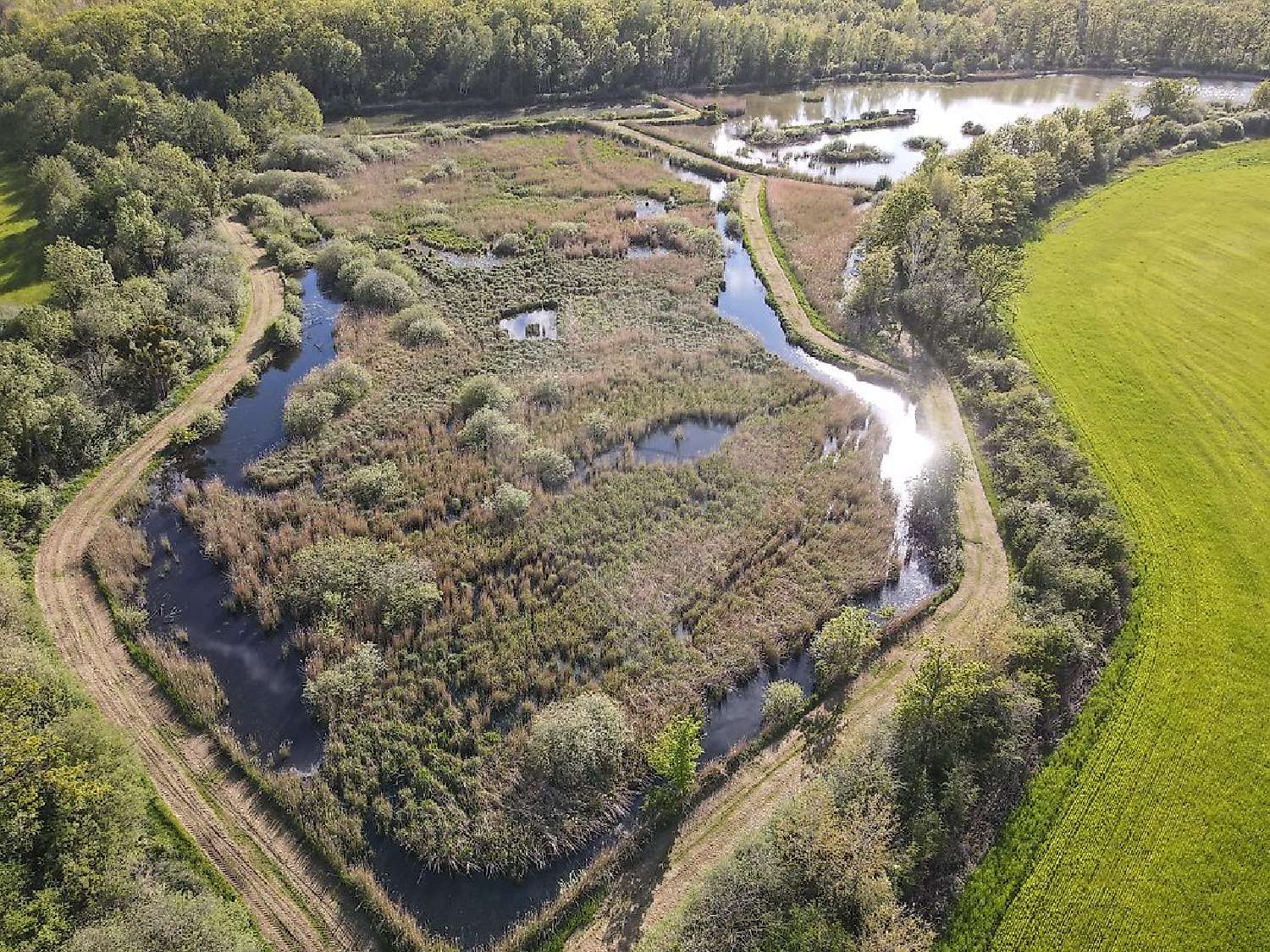  te koop huis Servon-Melzicourt Marne 3