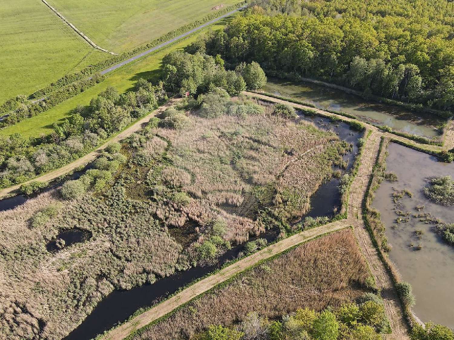  te koop huis Servon-Melzicourt Marne 4