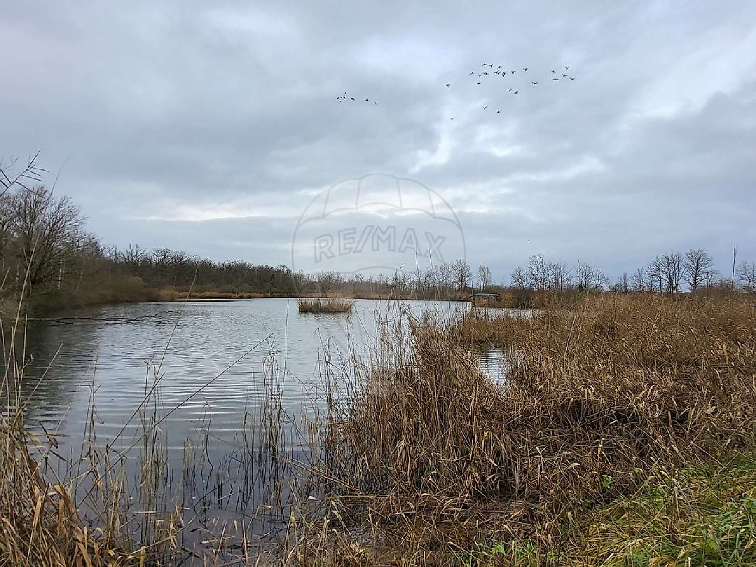  te koop huis Servon-Melzicourt Marne 7