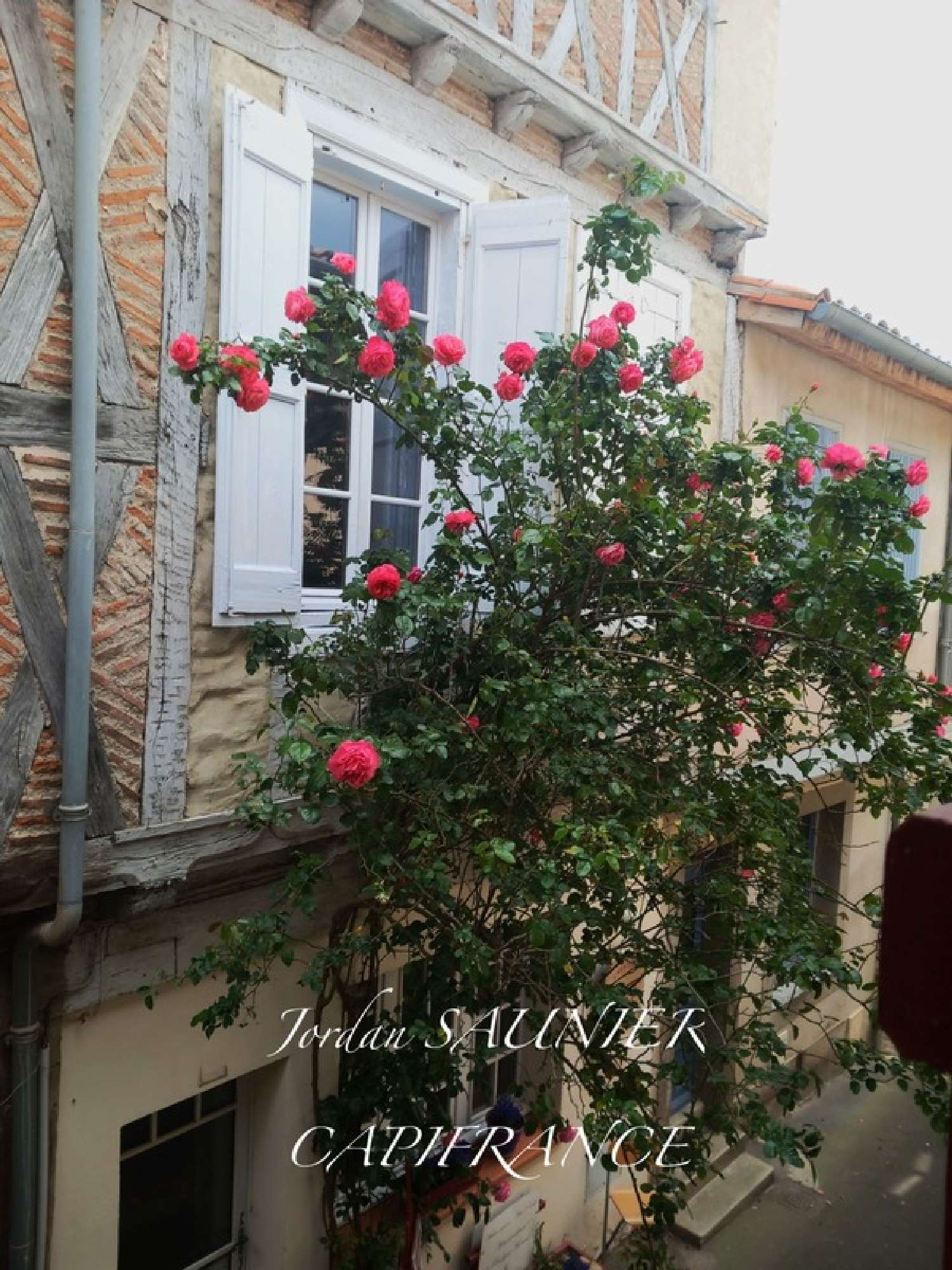  kaufen Haus Sorèze Tarn 1