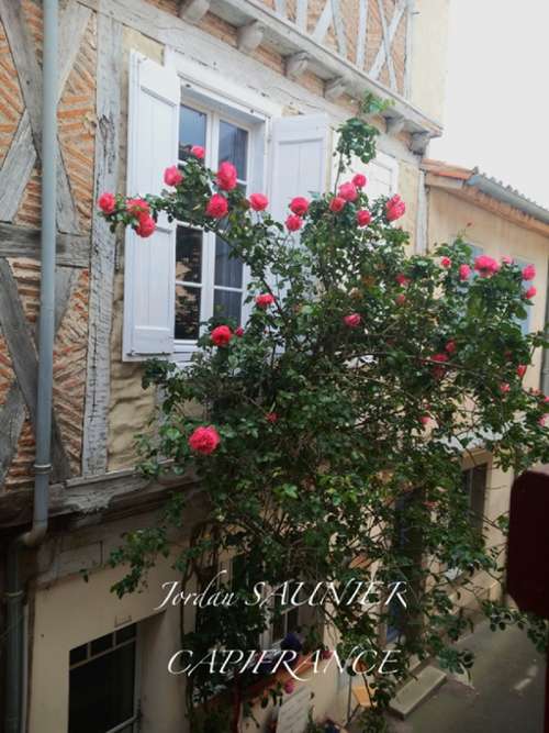 Sorèze Tarn Haus Bild 7247112