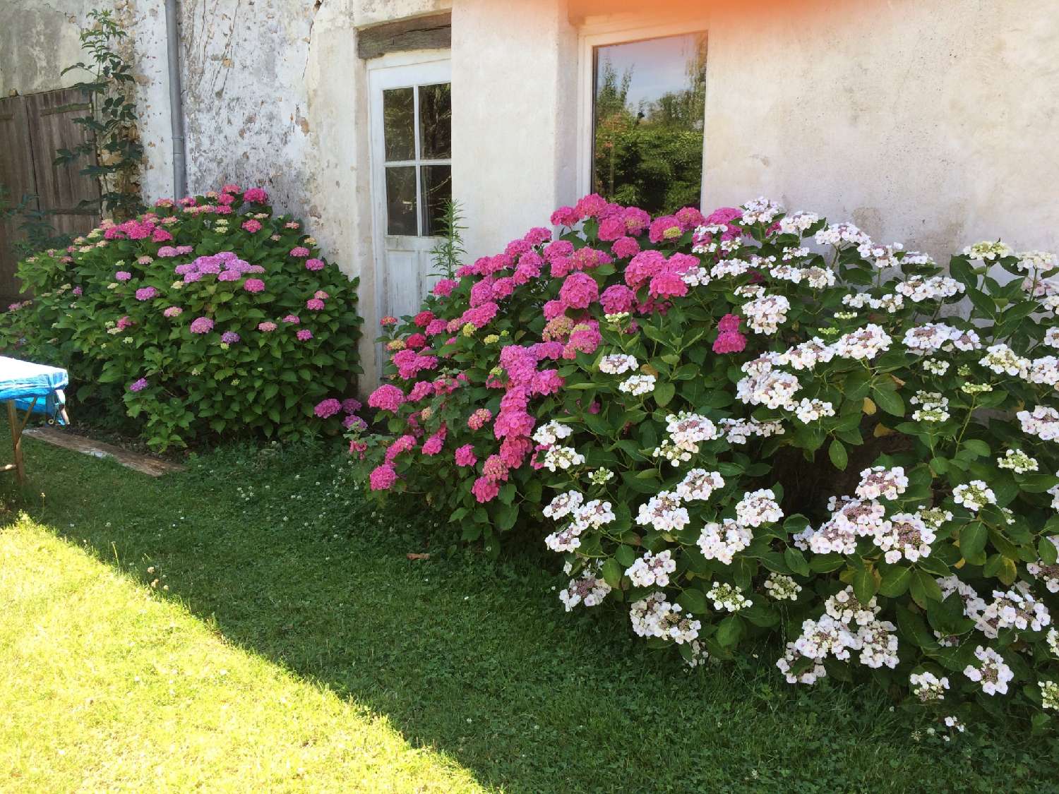  te koop huis Thoiry Yvelines 6