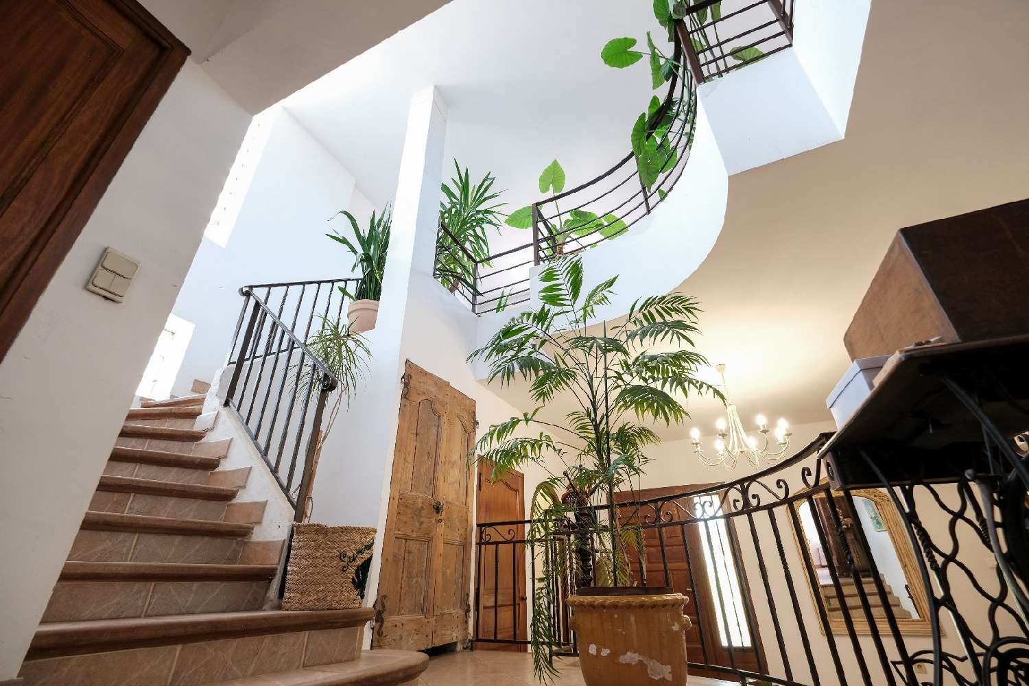 for sale house Thuir Pyrénées-Orientales 6