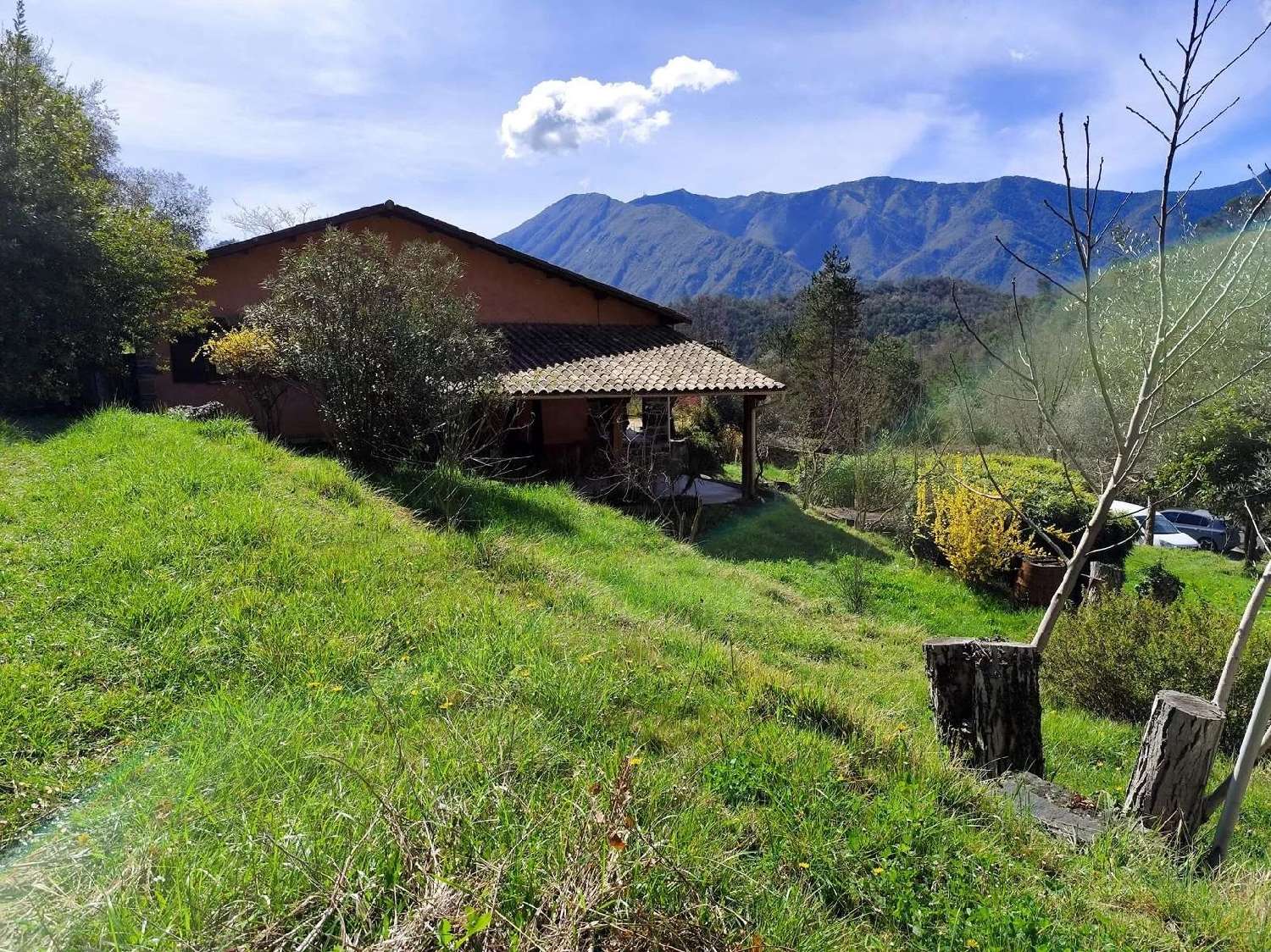 for sale house Tournefort Alpes-Maritimes 1