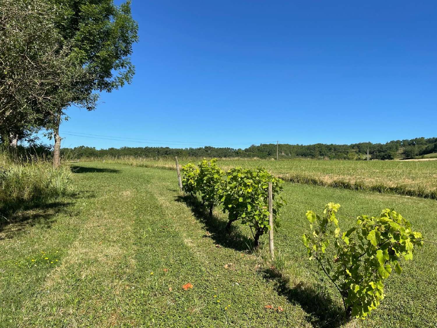 te koop huis Valprionde Lot 4