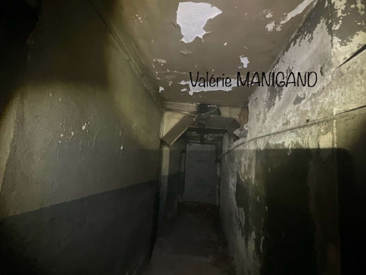  te koop huis Vichy Allier 5