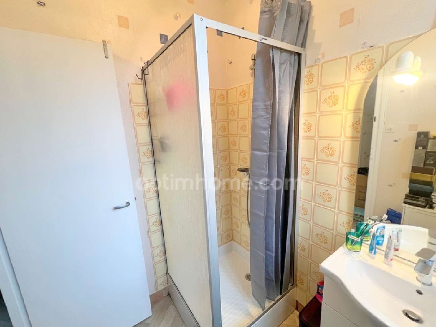  te koop huis Villeherviers Loir-et-Cher 5