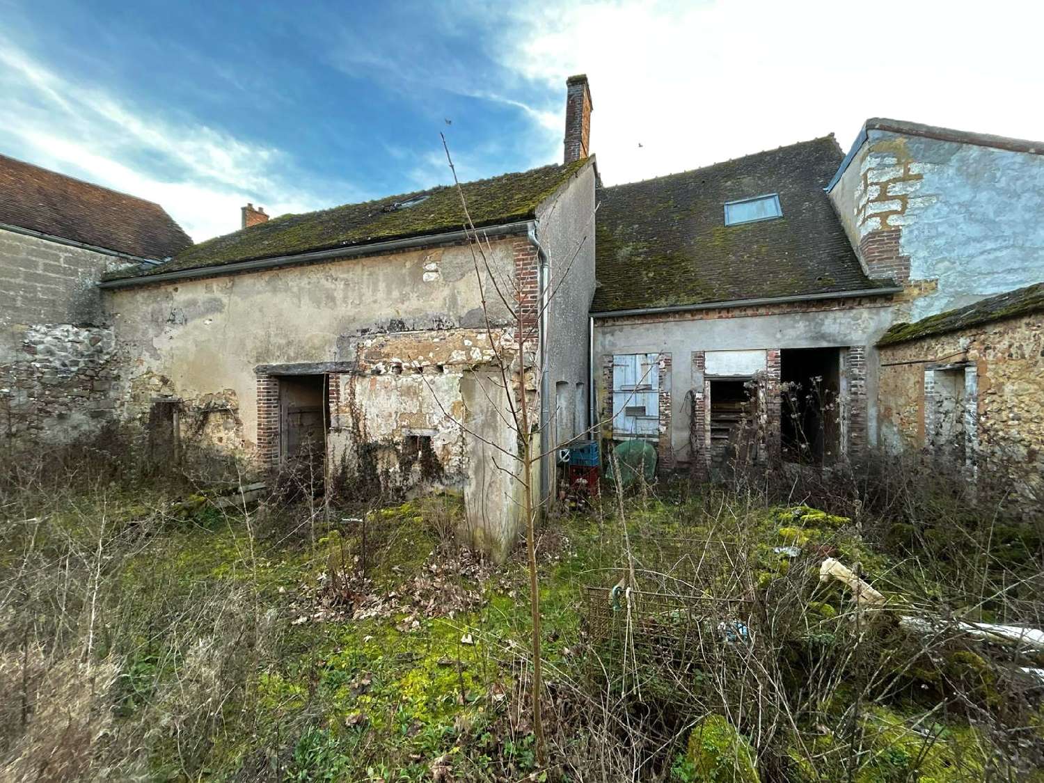 kaufen Haus Villeneuve-l'Archevêque Yonne 5