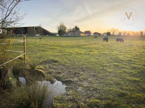 Villeréal Lot-et-Garonne house foto 7247350