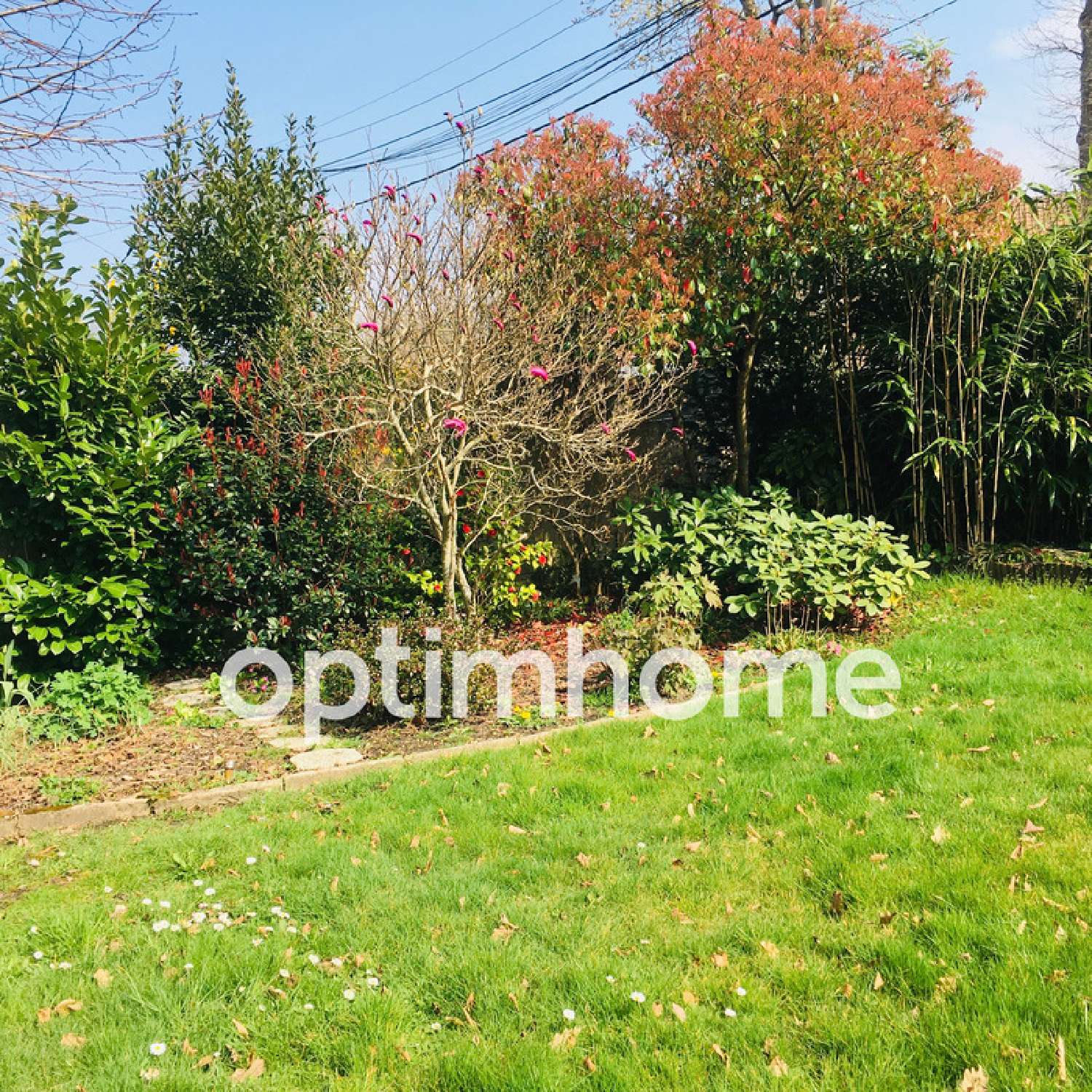  kaufen Haus Villiers-en-Bière Seine-et-Marne 2