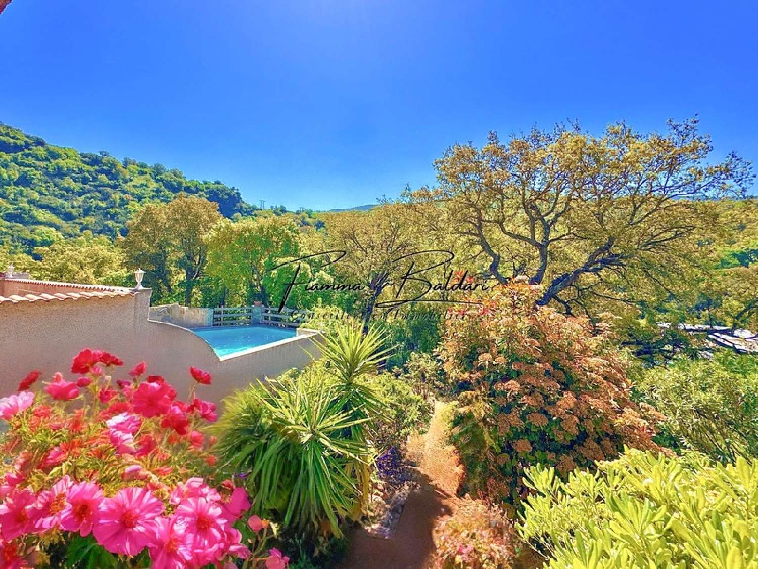 kaufen Haus Volpajola Haute-Corse 2