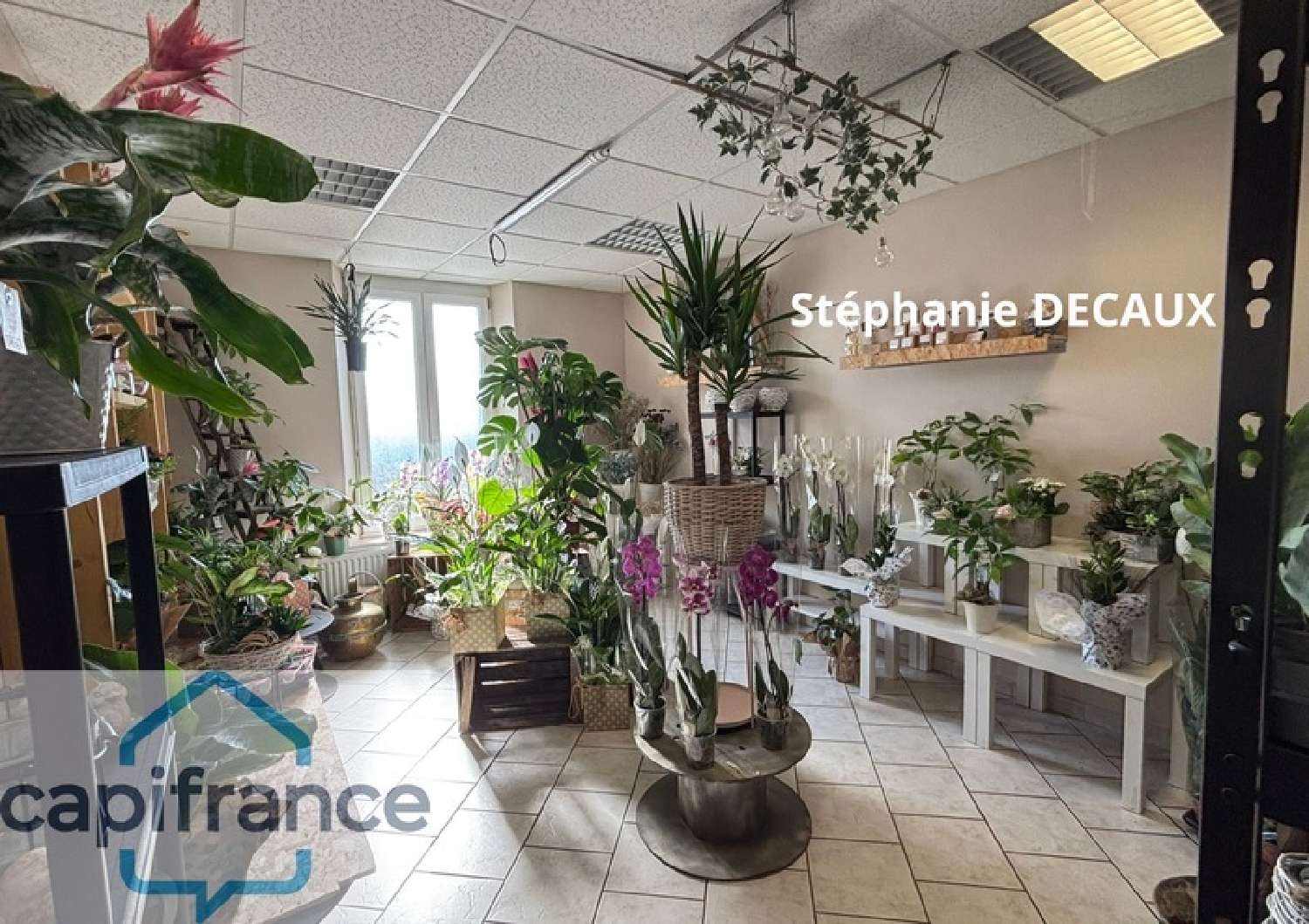  kaufen Haus Wignehies Nord 8