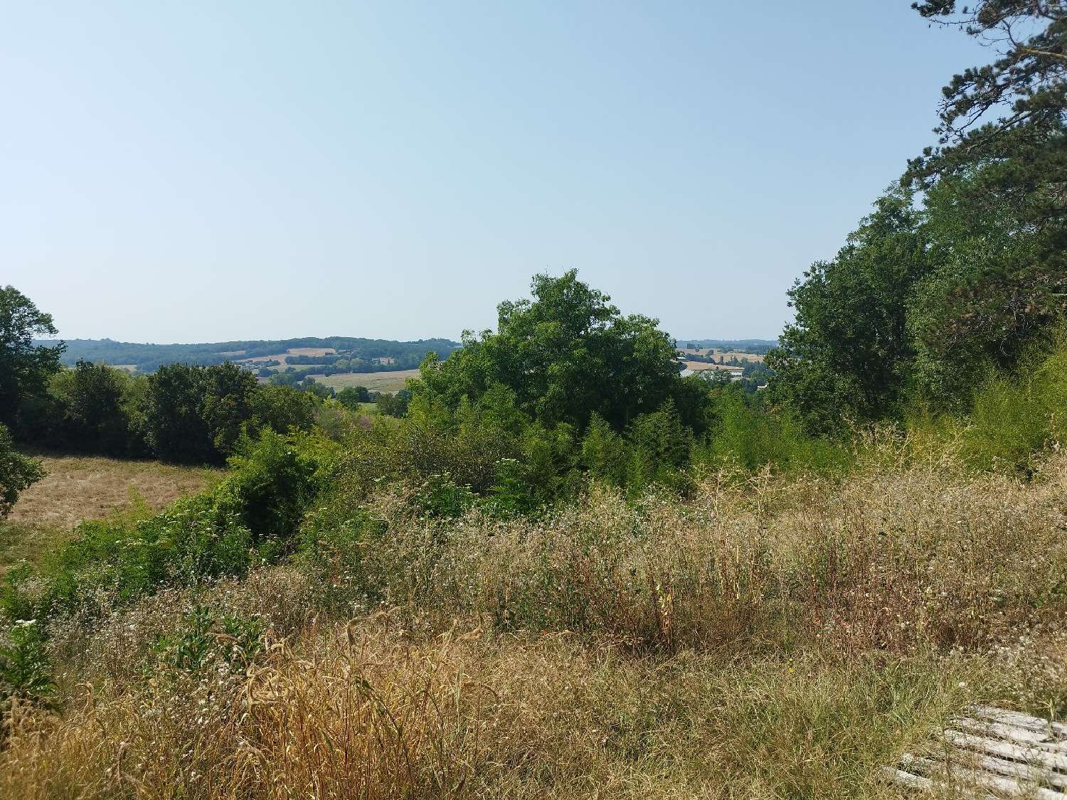  for sale mansion Molières Tarn-et-Garonne 4