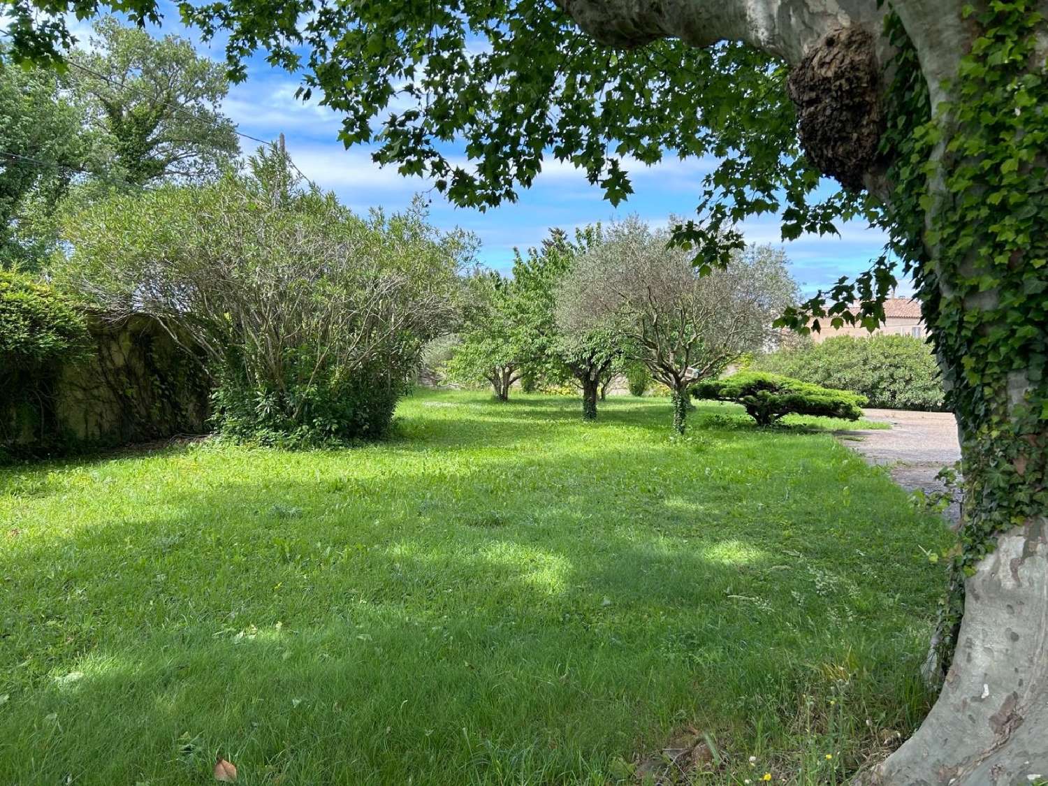 à vendre maison bourgeoise Monteux Vaucluse 3