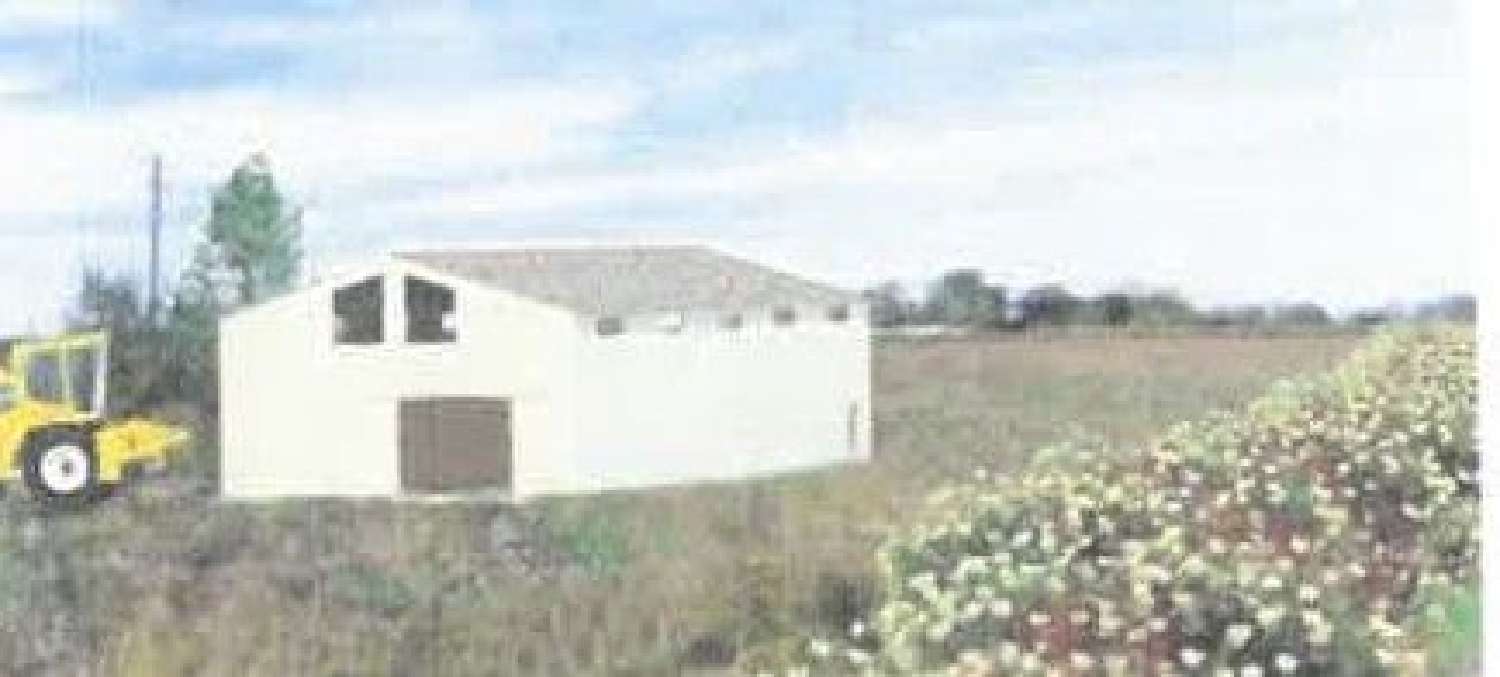  te koop kantoor Le Cailar Gard 1