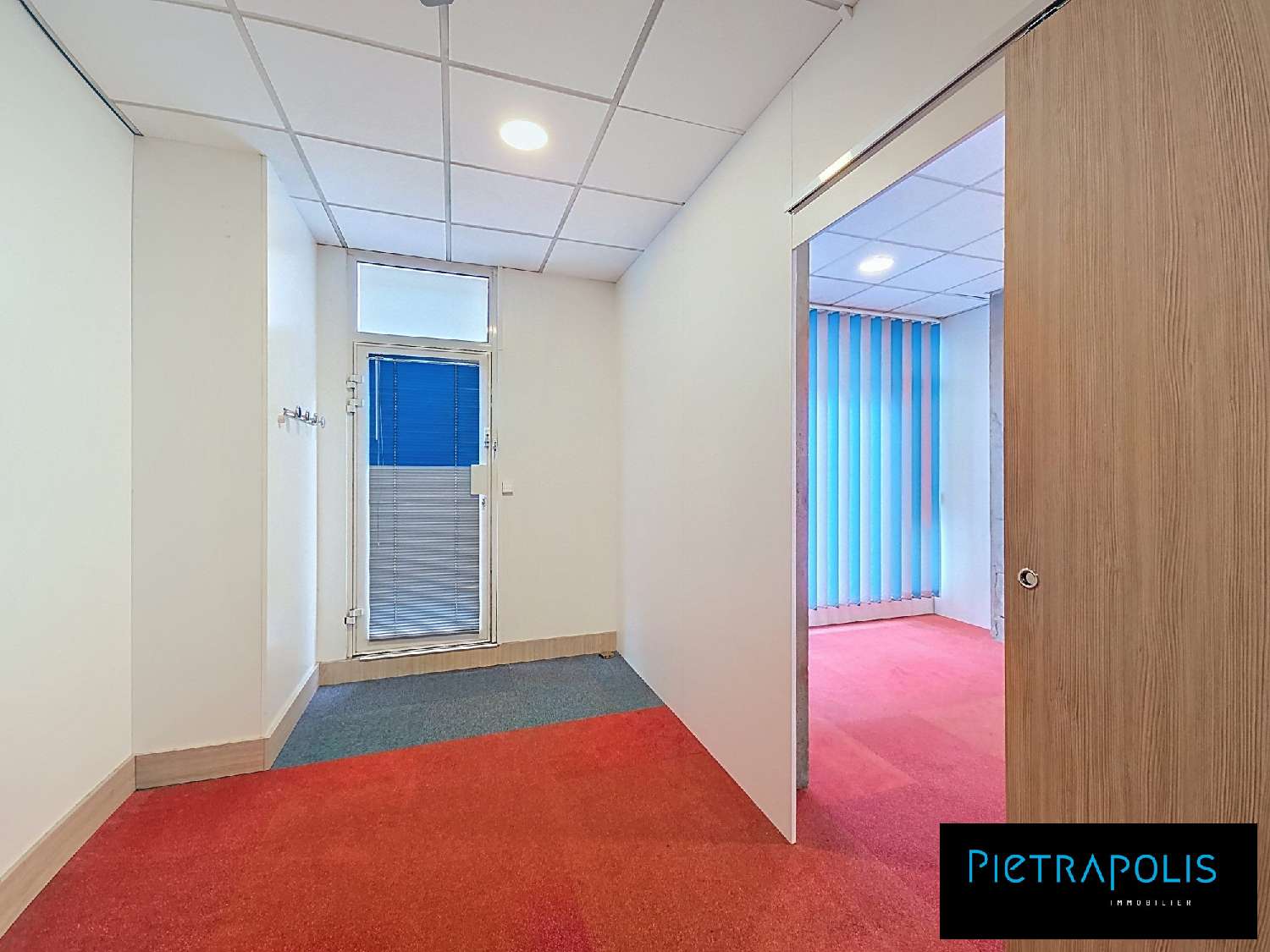  te koop kantoor Lyon 7e Arrondissement Rhône 4