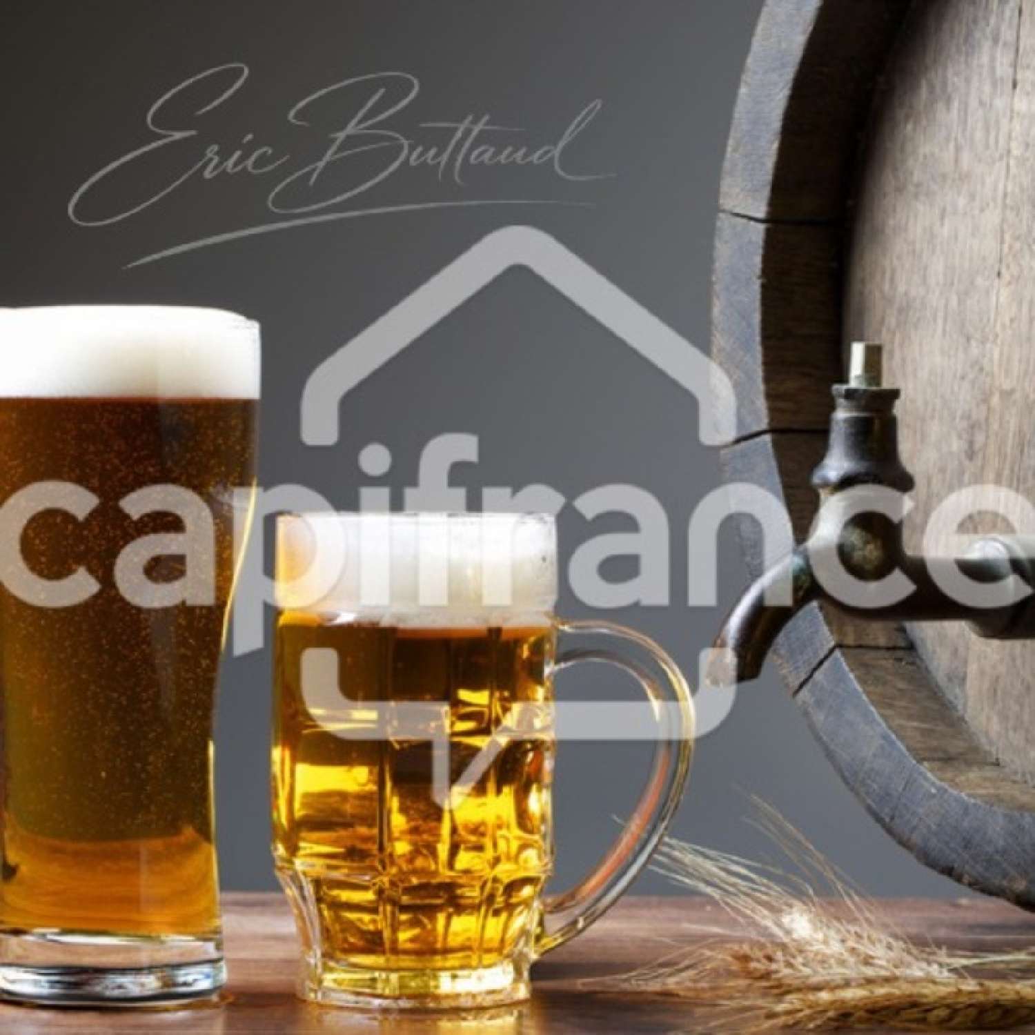  kaufen Restaurant Lyon 7e Arrondissement Rhône 5