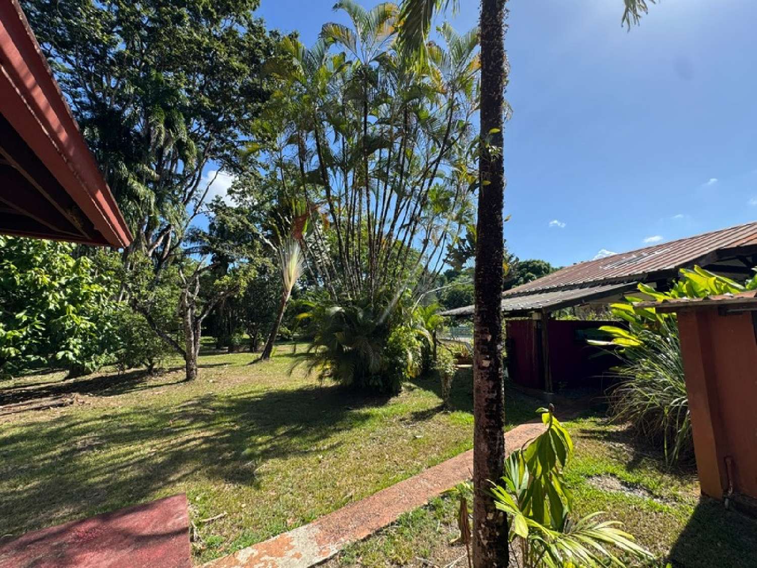  te koop restaurant Matoury Guyane 7