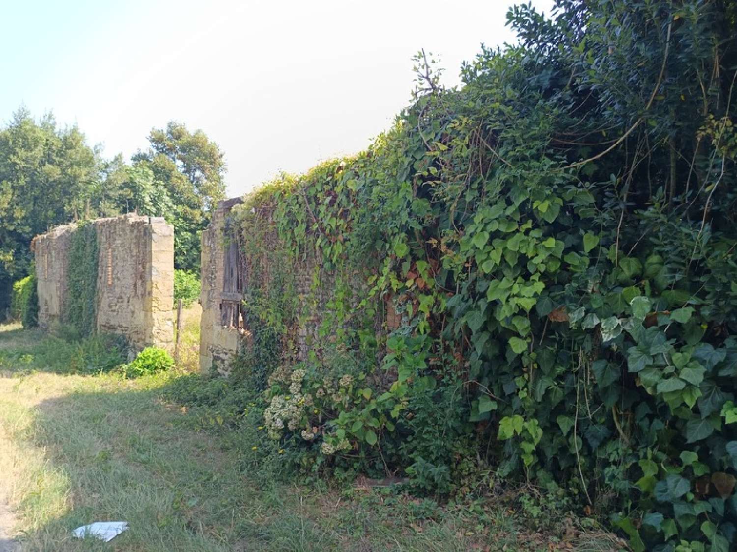  te koop terrein Aire-sur-l'Adour Landes 4