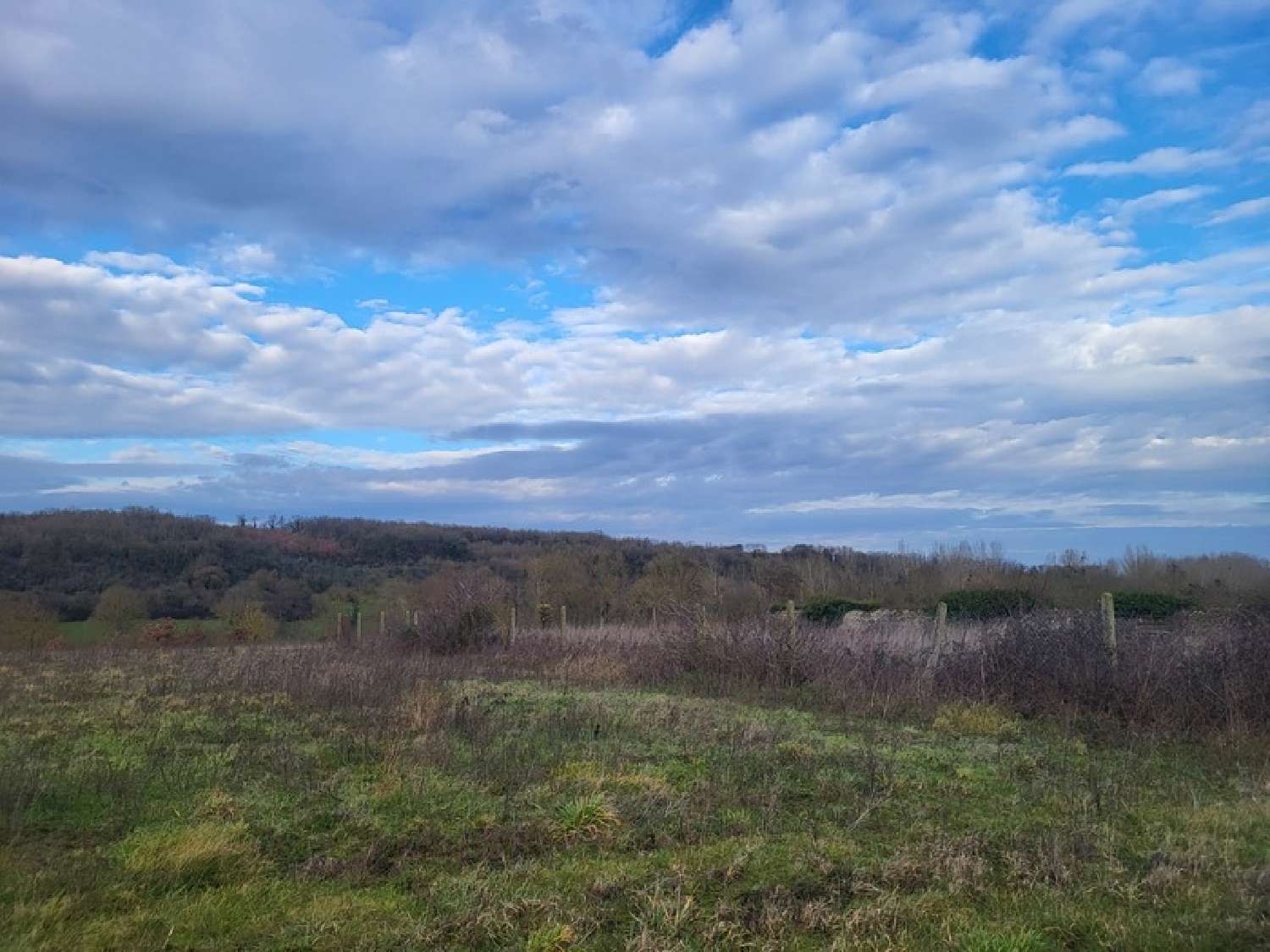 for sale terrain Airvault Deux-Sèvres 6