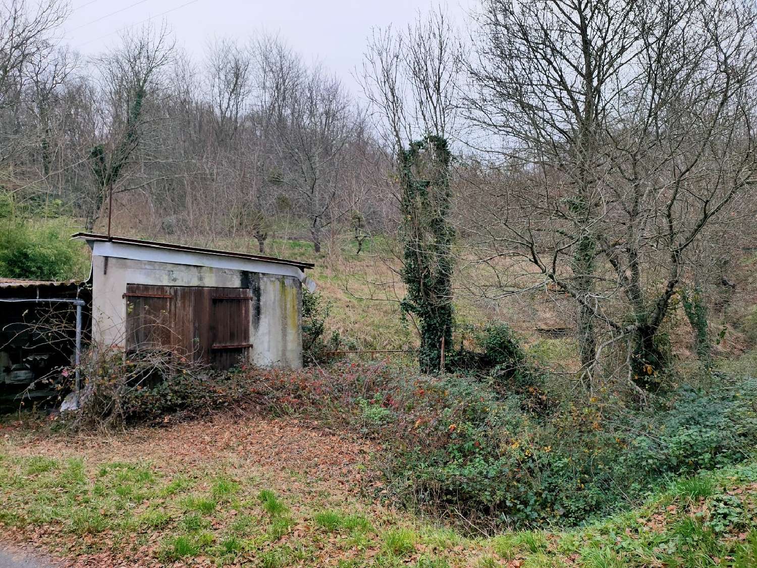  à vendre terrain Altillac Corrèze 4