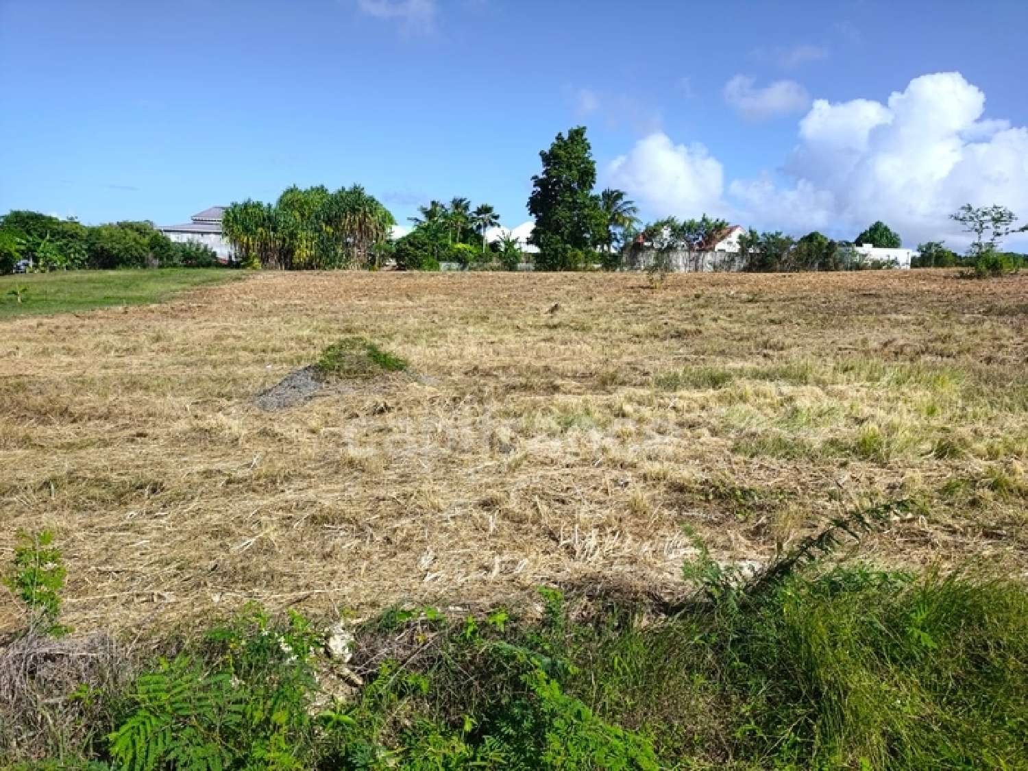  for sale terrain Anse-Bertrand Guadeloupe 1
