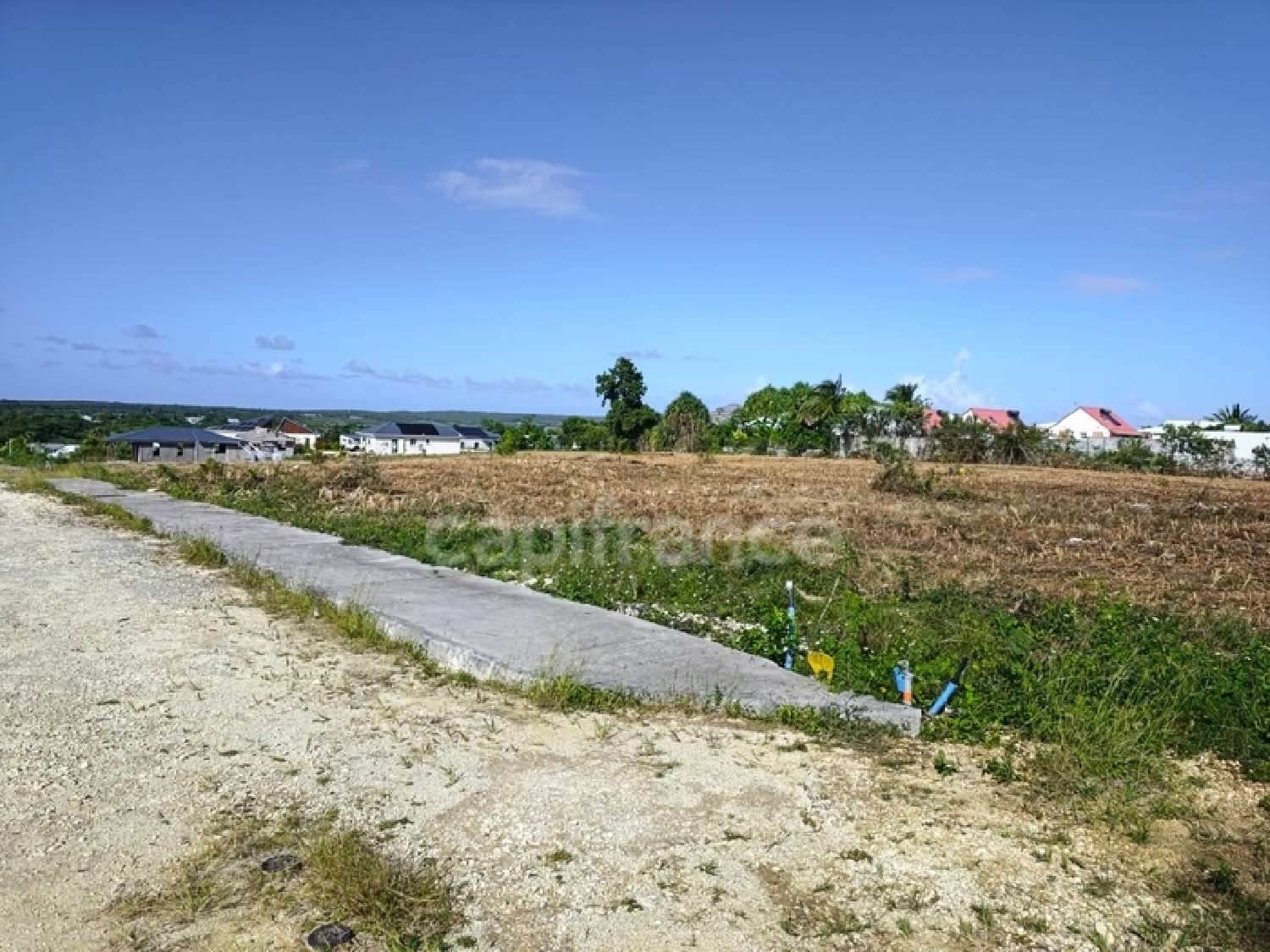  for sale terrain Anse-Bertrand Guadeloupe 2