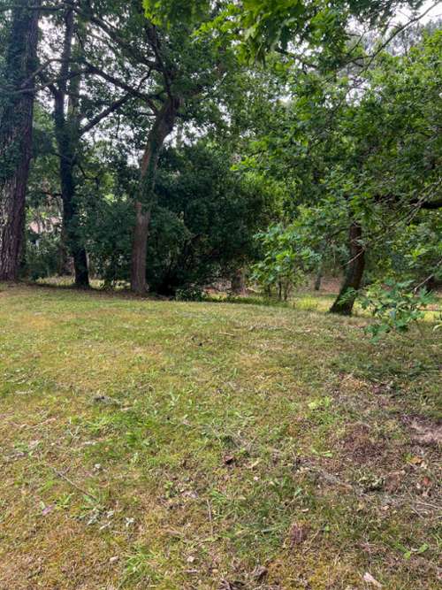 Arcachon Gironde terrain foto 7239076