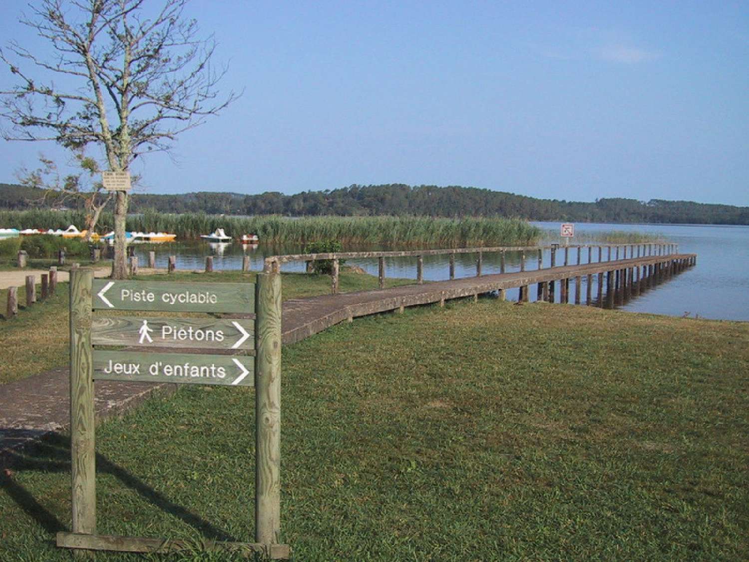  kaufen Grundstück Aureilhan Landes 1