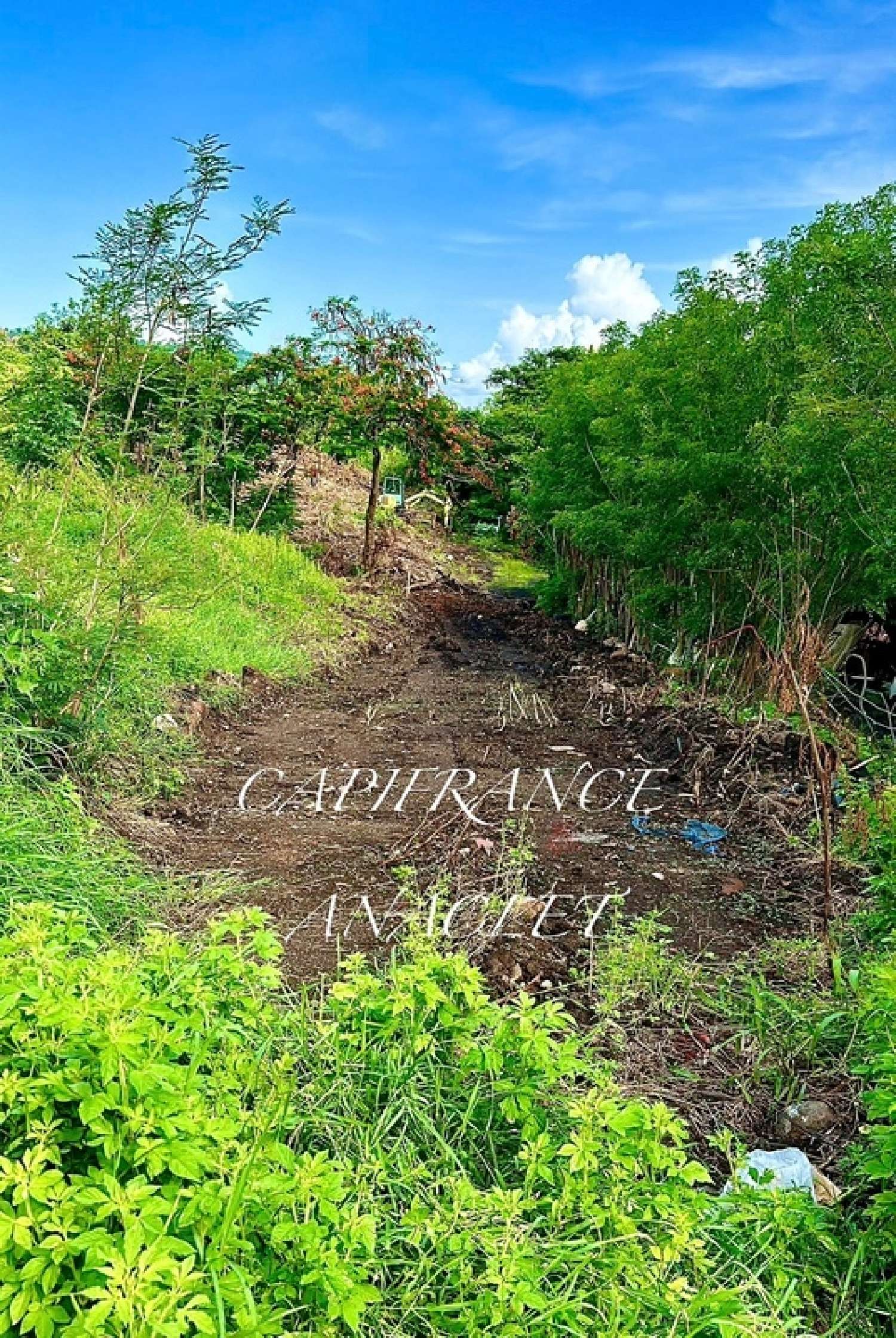  te koop terrein Bellefontaine Martinique 2