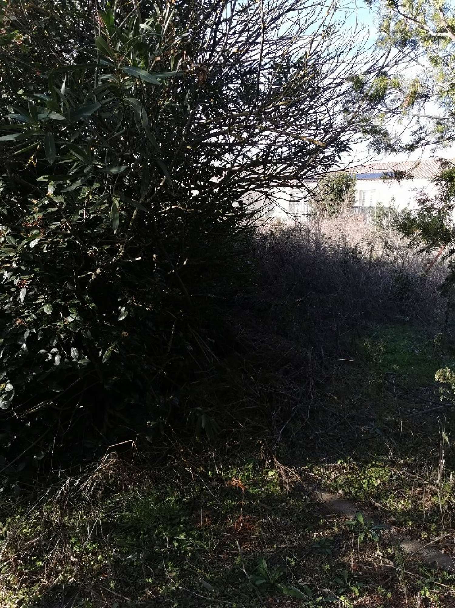  te koop terrein Béziers Hérault 1