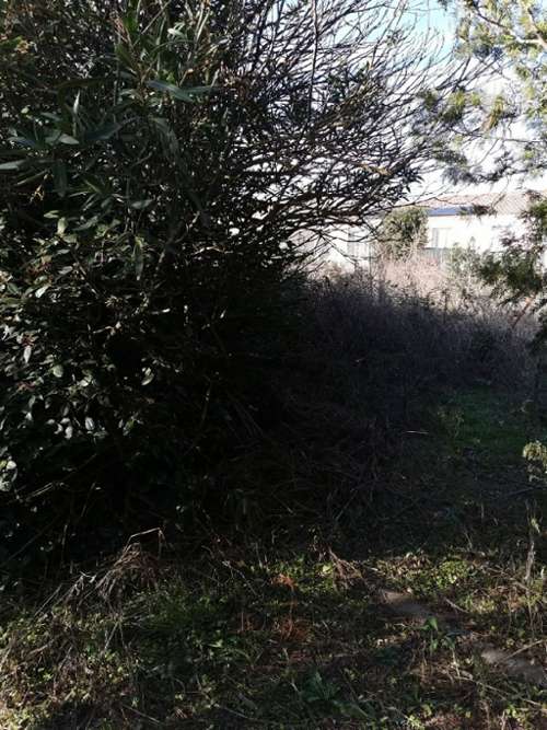 Béziers Hérault terrein foto 7241626