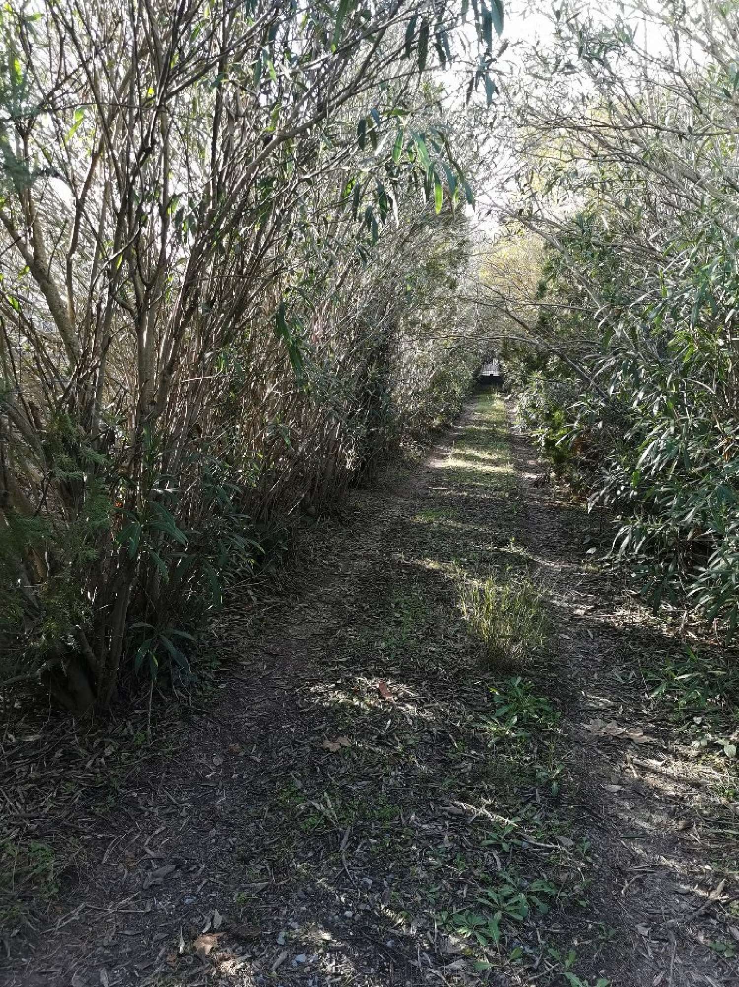  te koop terrein Béziers Hérault 2