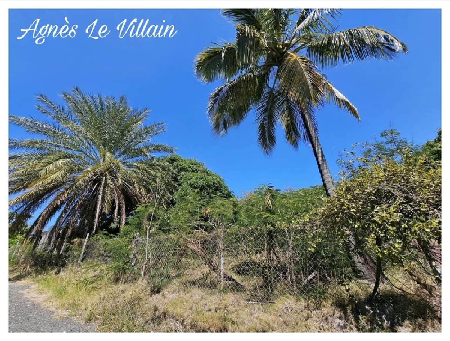  kaufen Grundstück Bouillante Guadeloupe 3