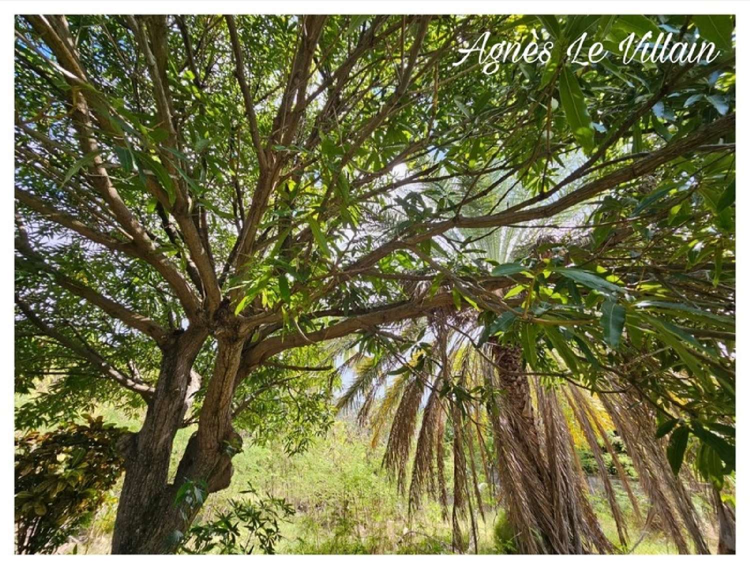  kaufen Grundstück Bouillante Guadeloupe 7