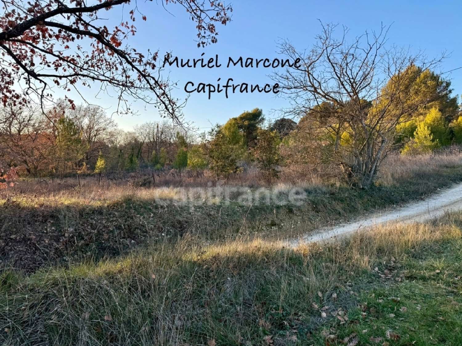  en venta terreno Cadenet Vaucluse 3