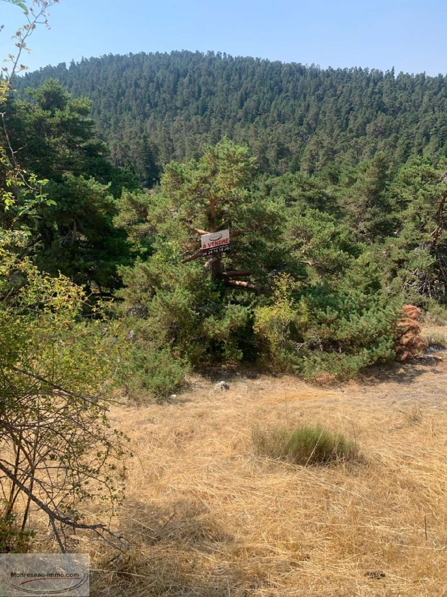  for sale terrain Caille Alpes-Maritimes 4