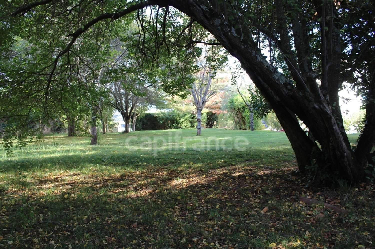  kaufen Grundstück Castagnac Haute-Garonne 4