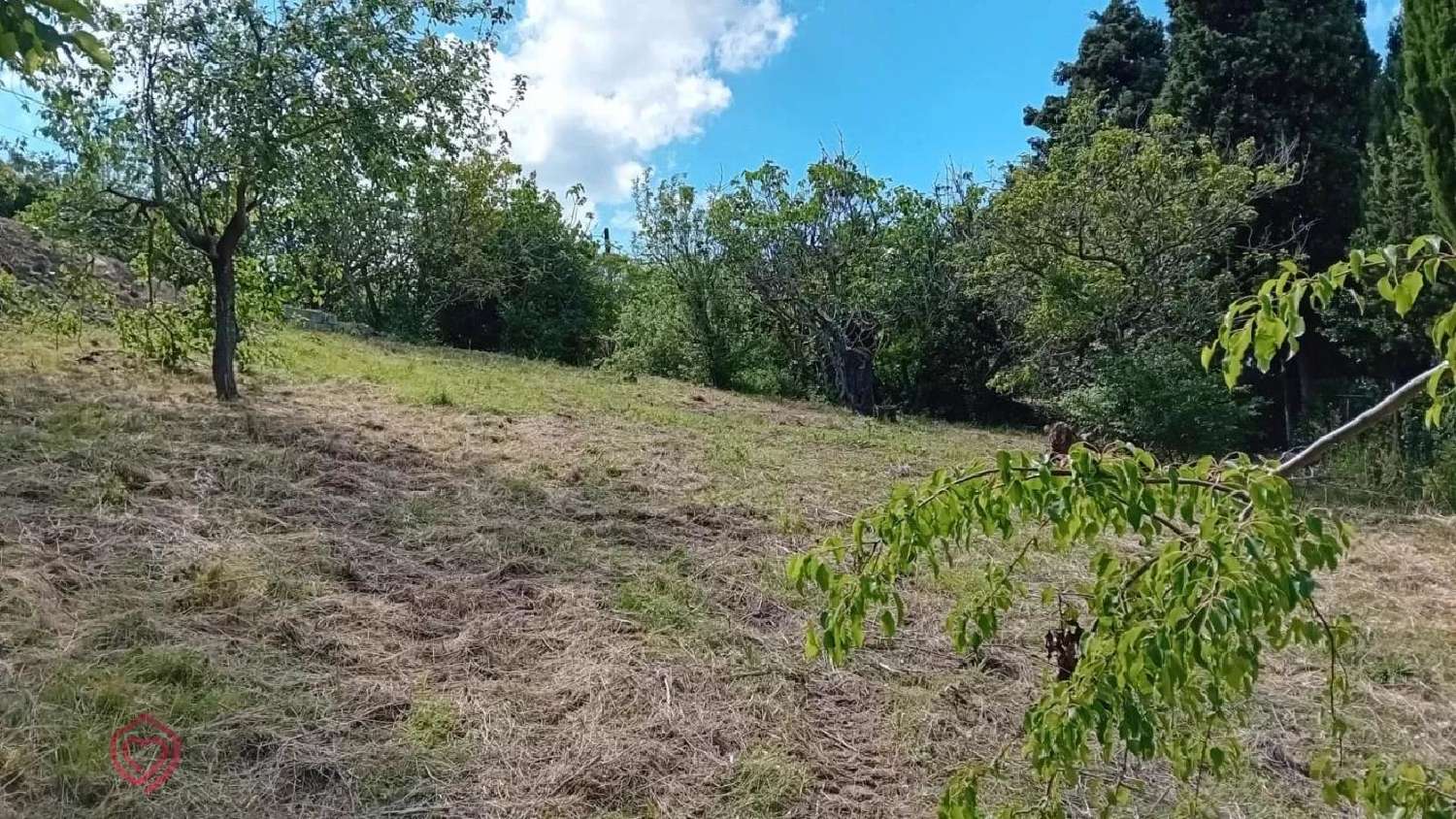  kaufen Grundstück Castelnaudary Aude 3