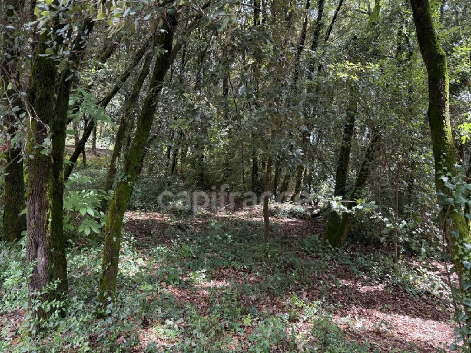  for sale terrain Cendras Gard 1